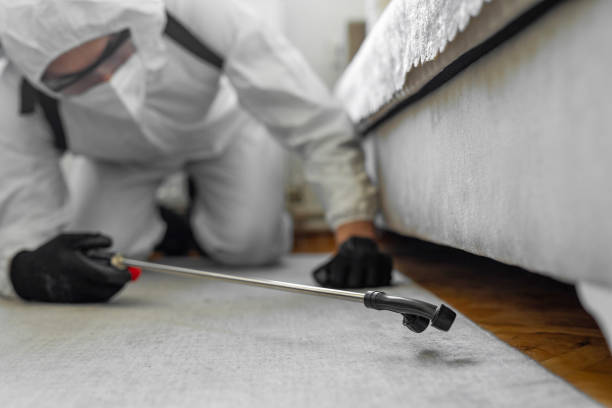 Professional Bed Bug Control technician working in Rock Island, WA