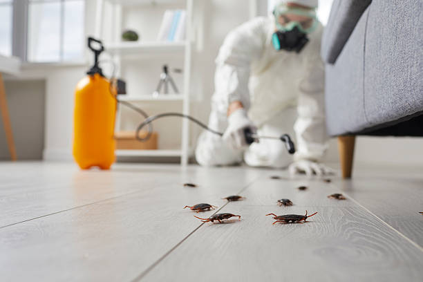 Trusted Emergency Pest Control service in Rock Island, WA - Nex Pest Control