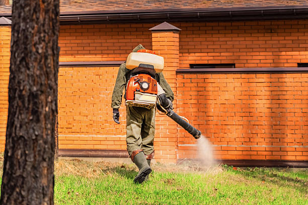 Trusted Bed Bug Control service in Rock Island, WA - Nex Pest Control